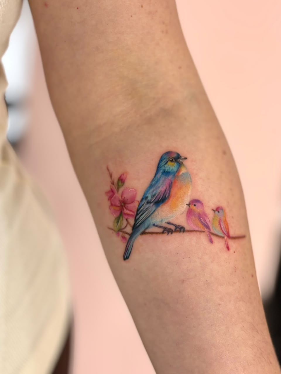 Tatuagem colorida de pássaros